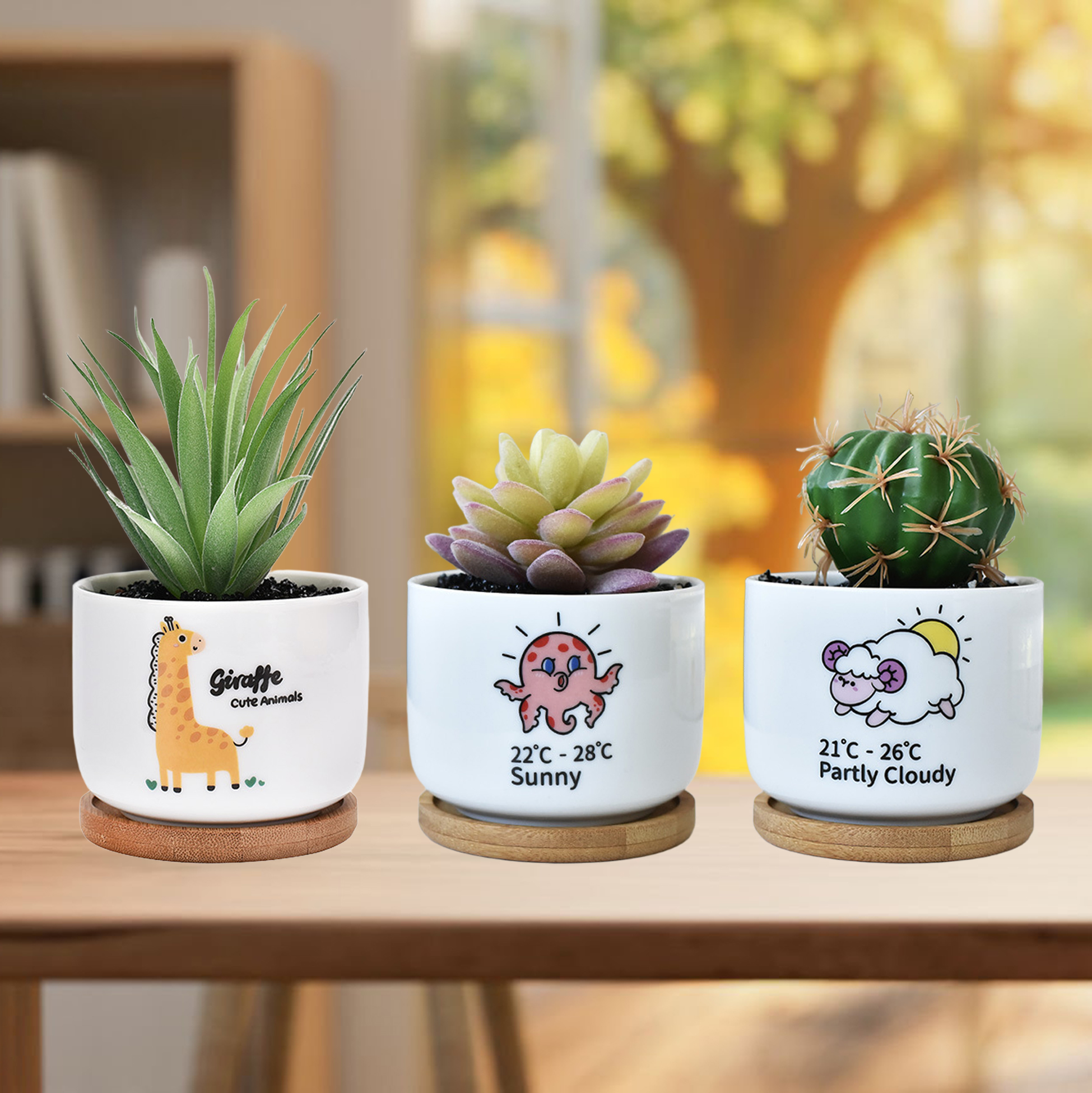 3 Succulent Pots With 3 Bamboo Tray