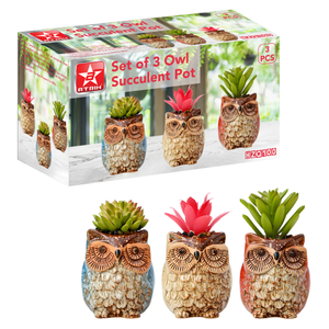 Set of 3 Owl Succulent Pot