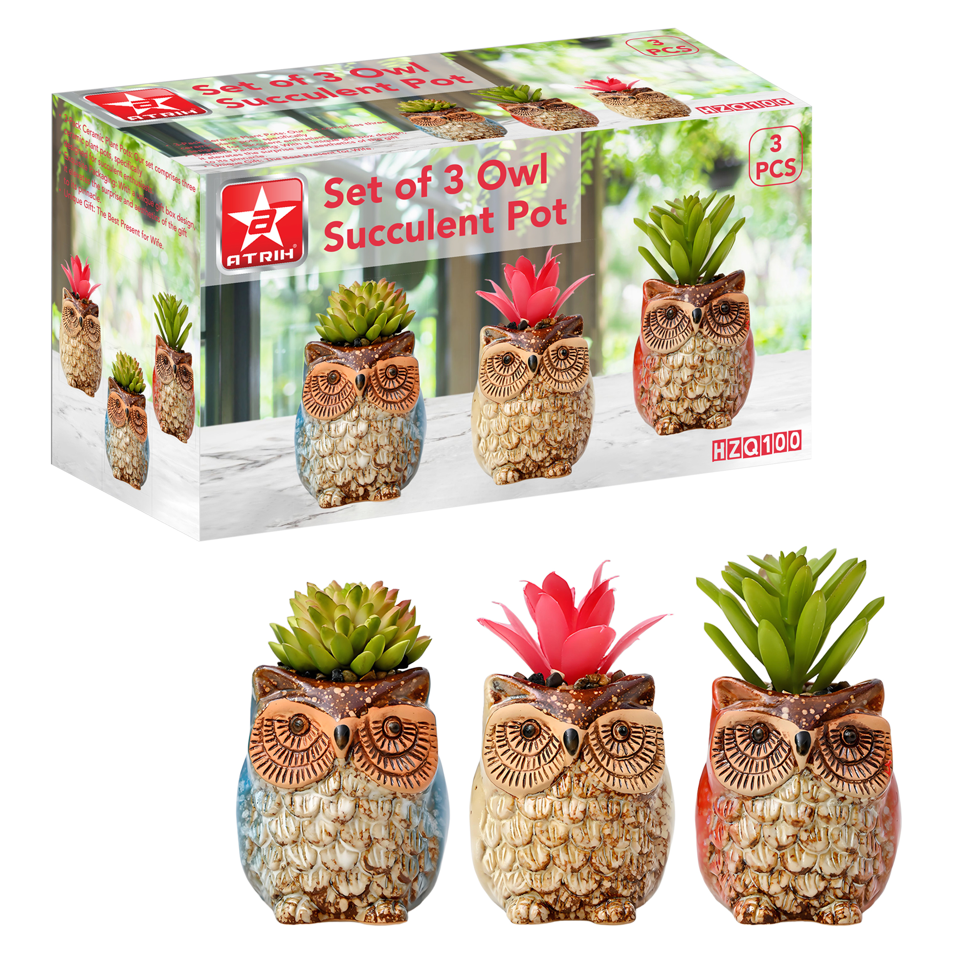 Set of 3 Owl Succulent Pot