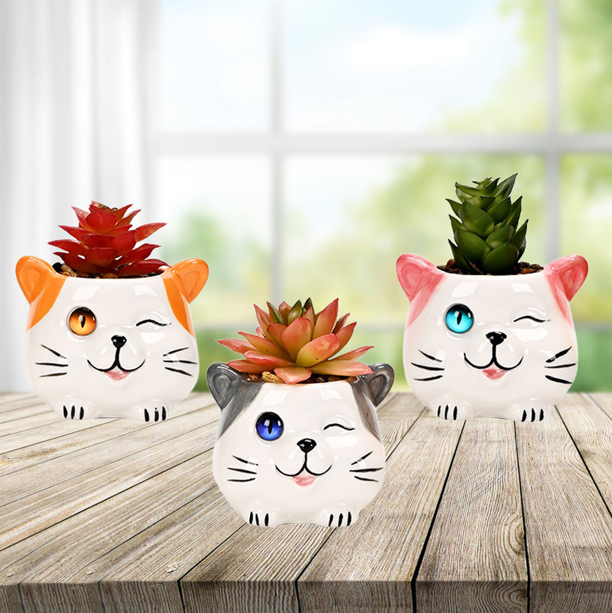 Set of 3 Cat Succulent Pot