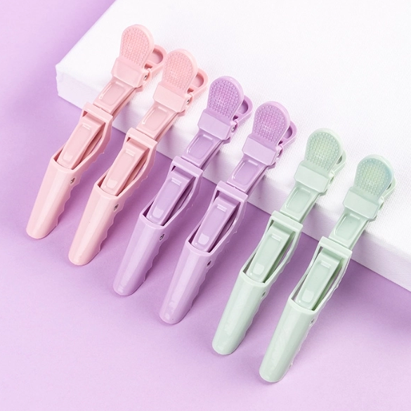 Chic Snap Hair Clip Duo Set