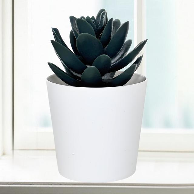 Black Succulent Fake Plant in White Pot