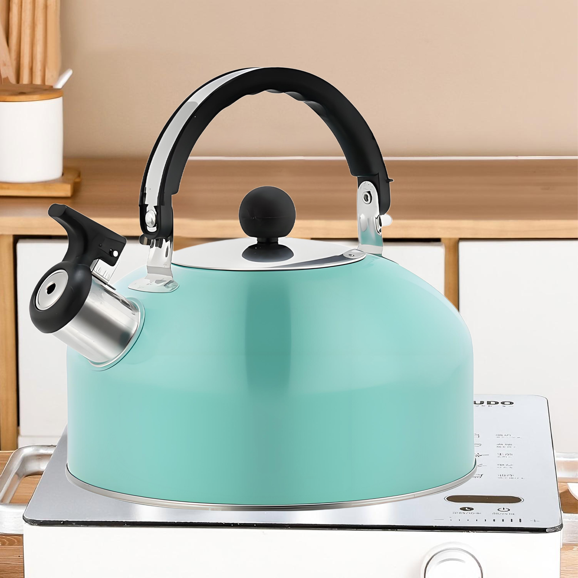 2L Green Stainless Steel Whistling Kettle