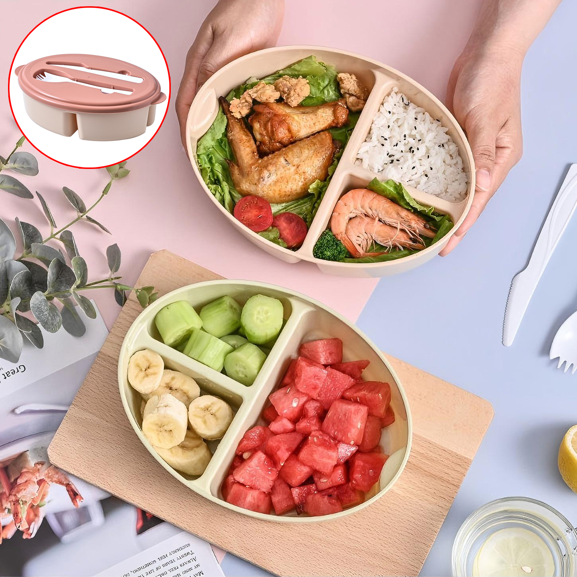 Plastic Bento Style Lunch Box