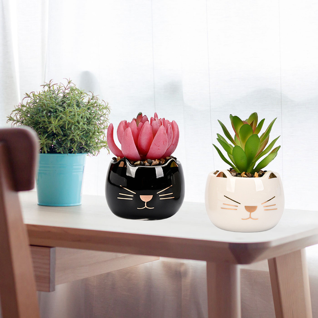 Set of 2 Cat-shaped Succulent Pot