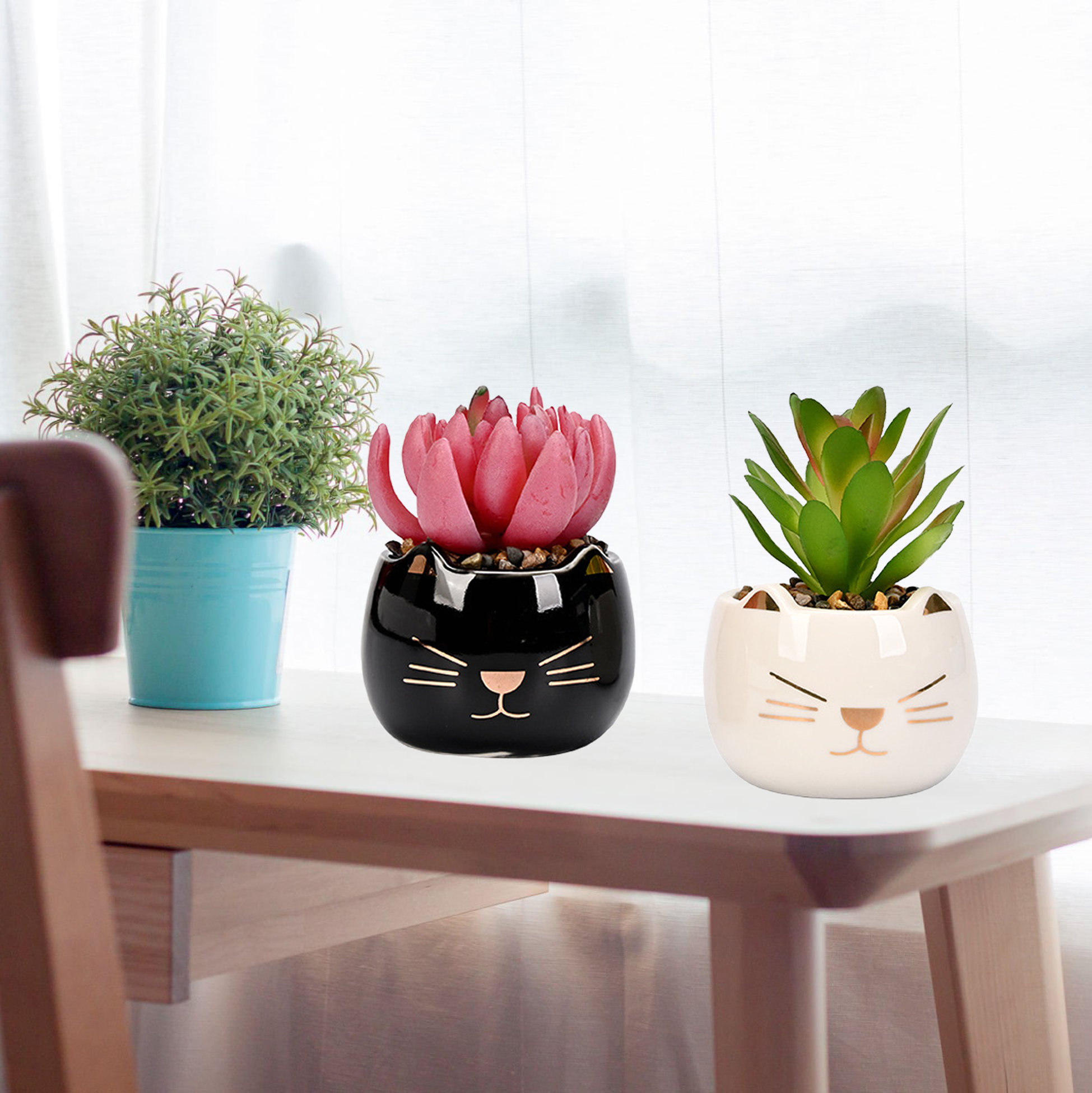 Set of 2 Cat-shaped Succulent Pot