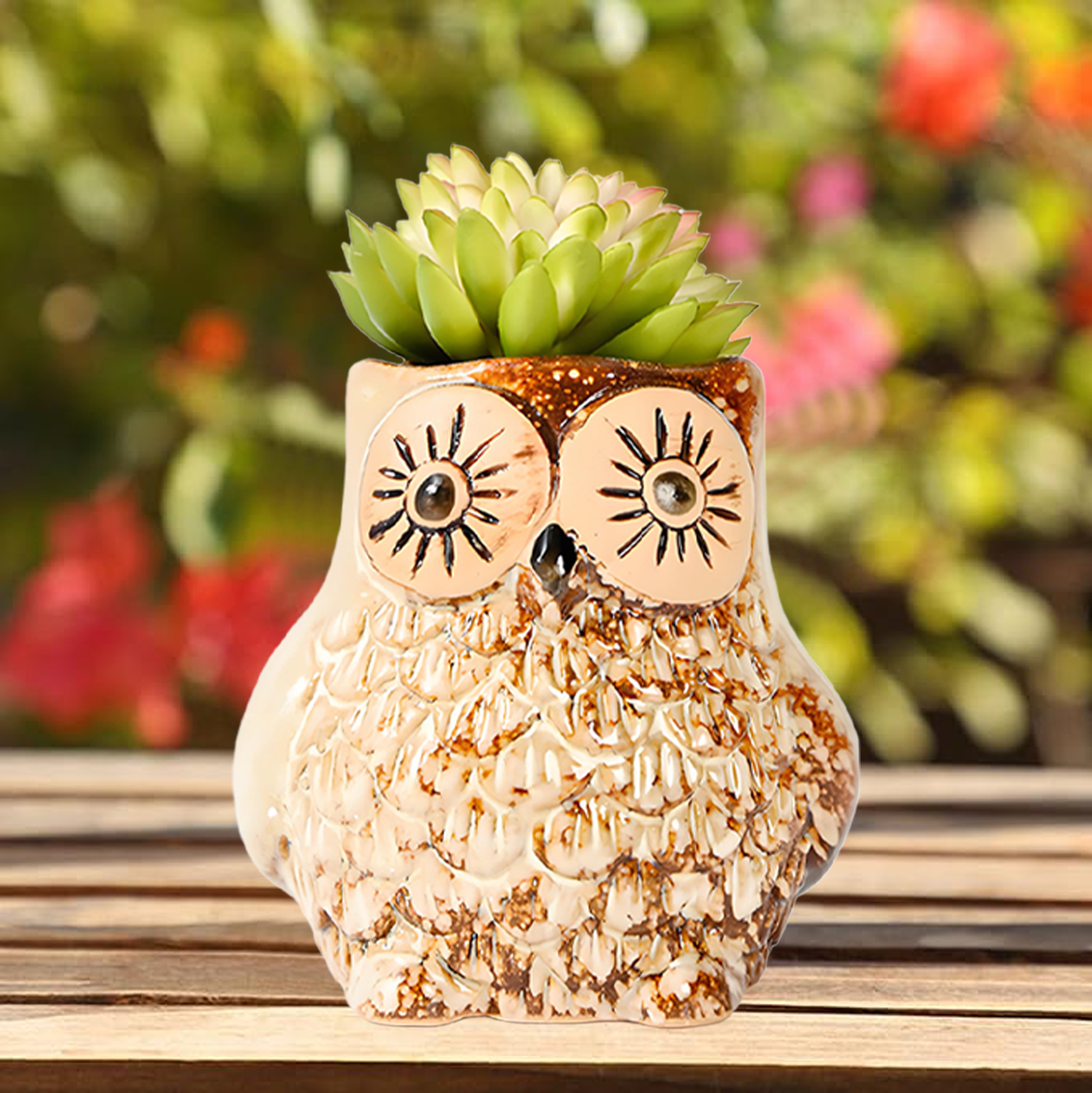 Set of 3 Owl Succulent Pot