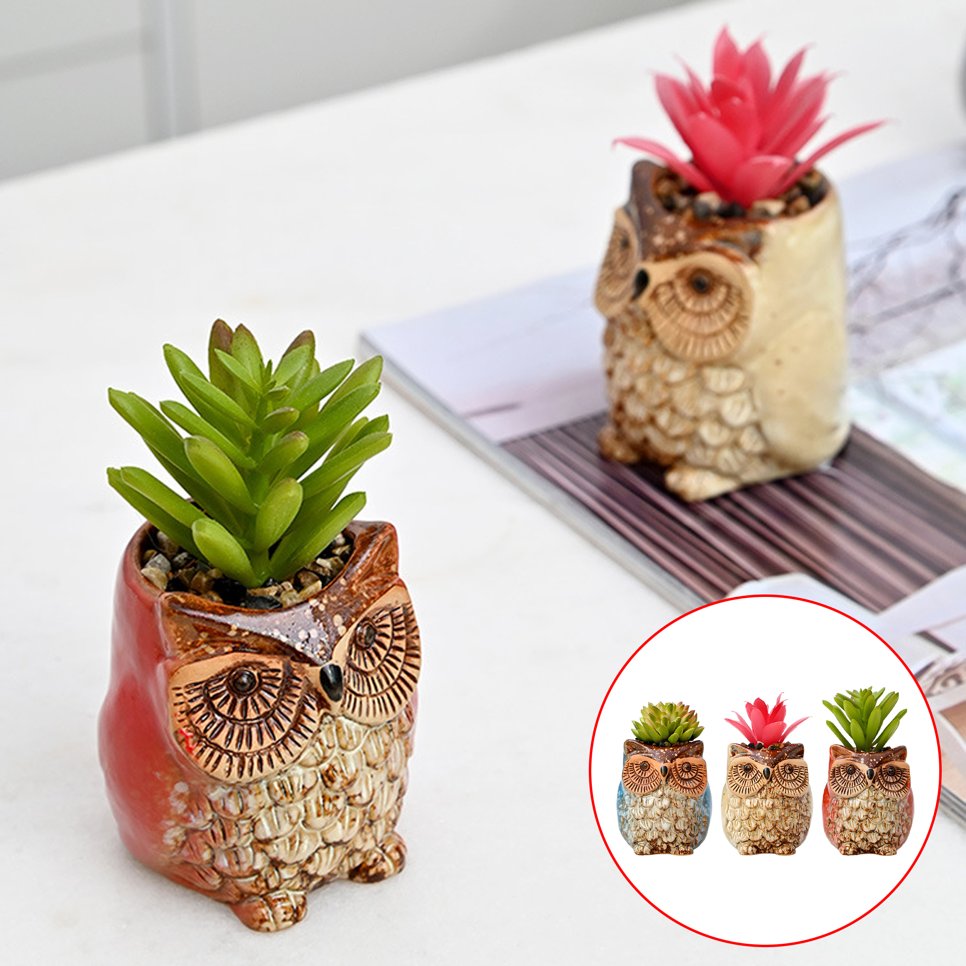 Set of 3 Owl Succulent Pot