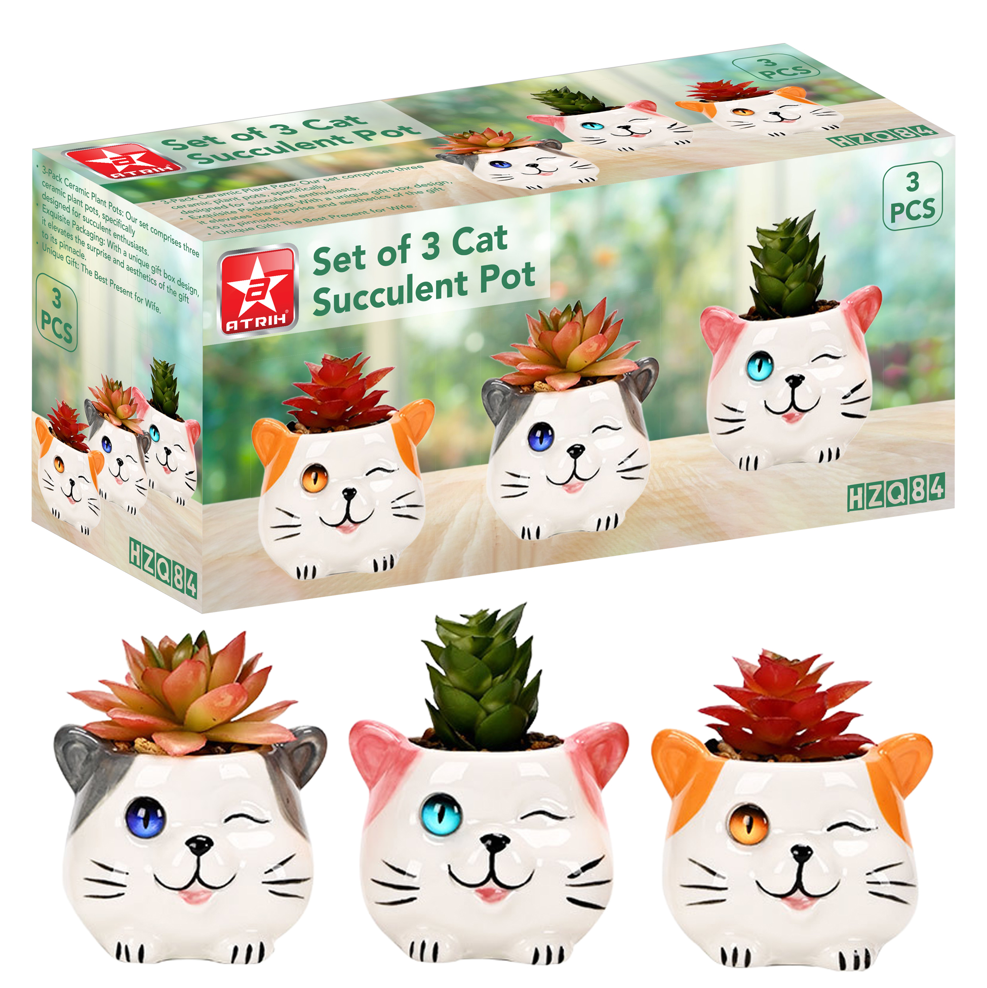 Set of 3 Cat Succulent Pot