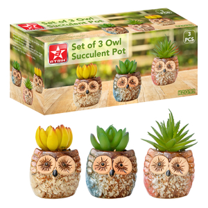 Set of 3 Owl Succulent Pot