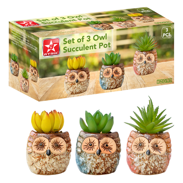 Set of 3 Owl Succulent Pot
