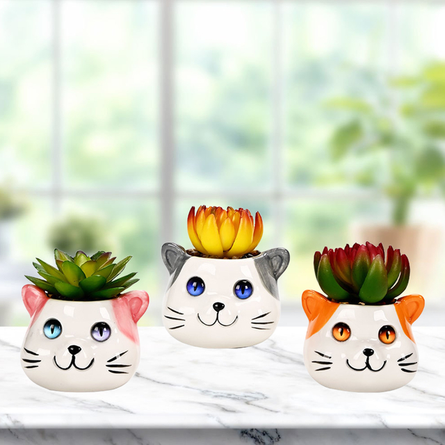 Set of 3 Cat Succulent Pot