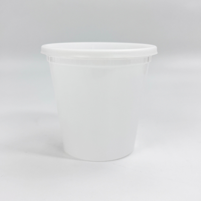 700ML Plastic Cup with Airtight Lid