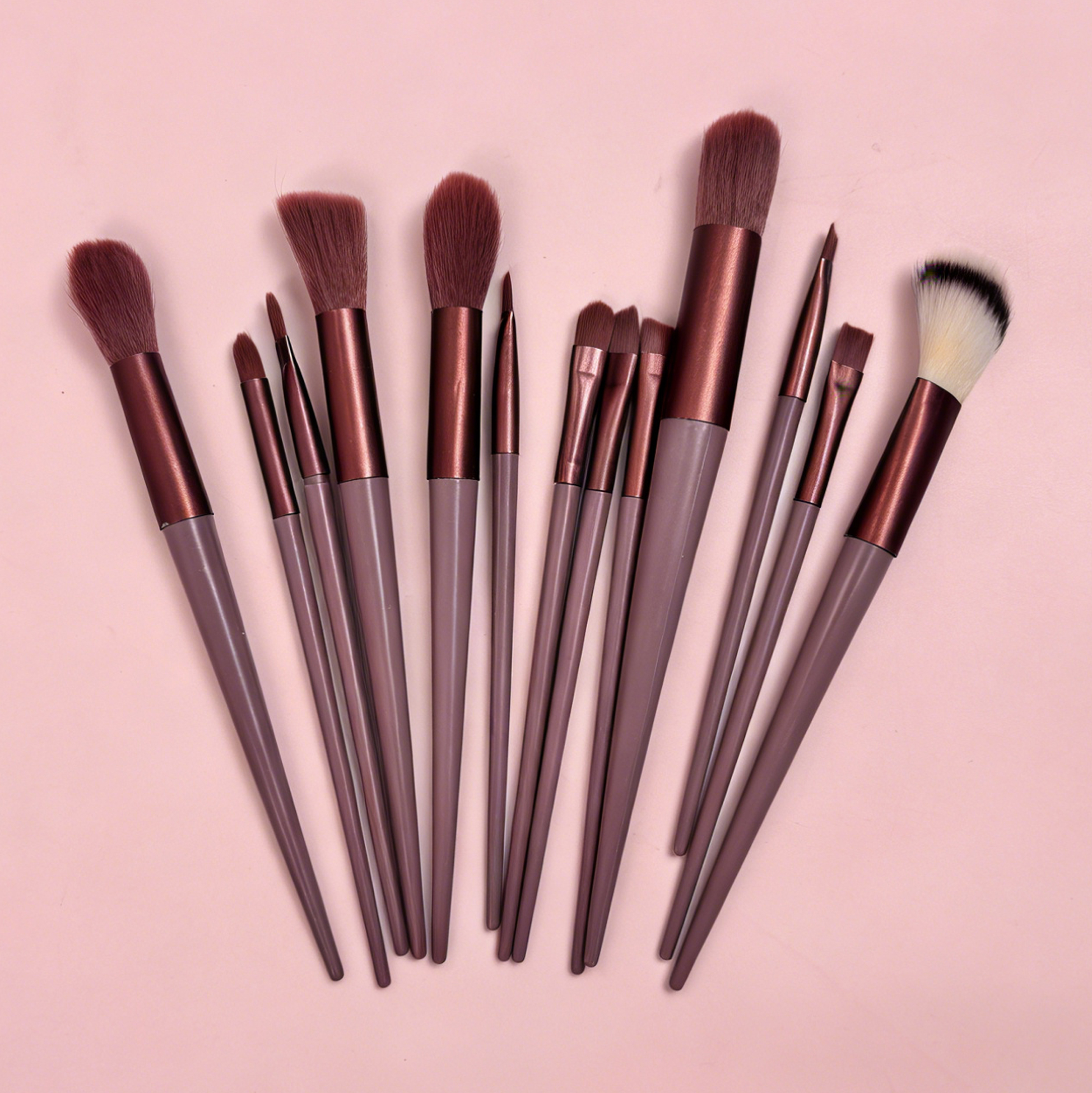 Set of 13 Makeup Brushes