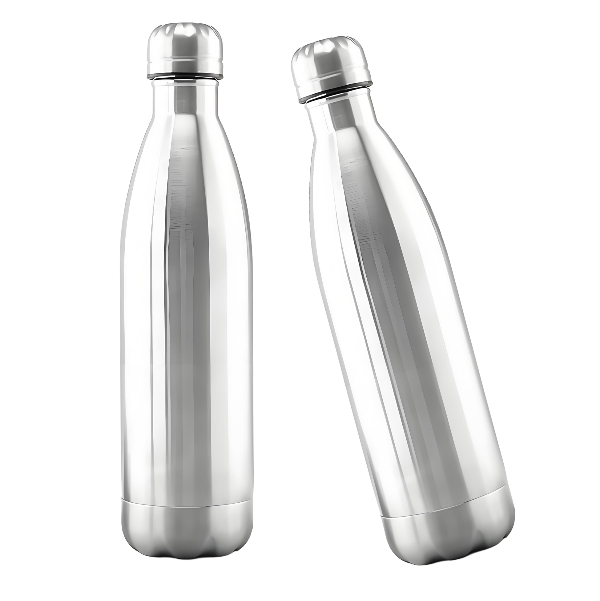 Stainless Steel Dual - Compartment Water Bottle