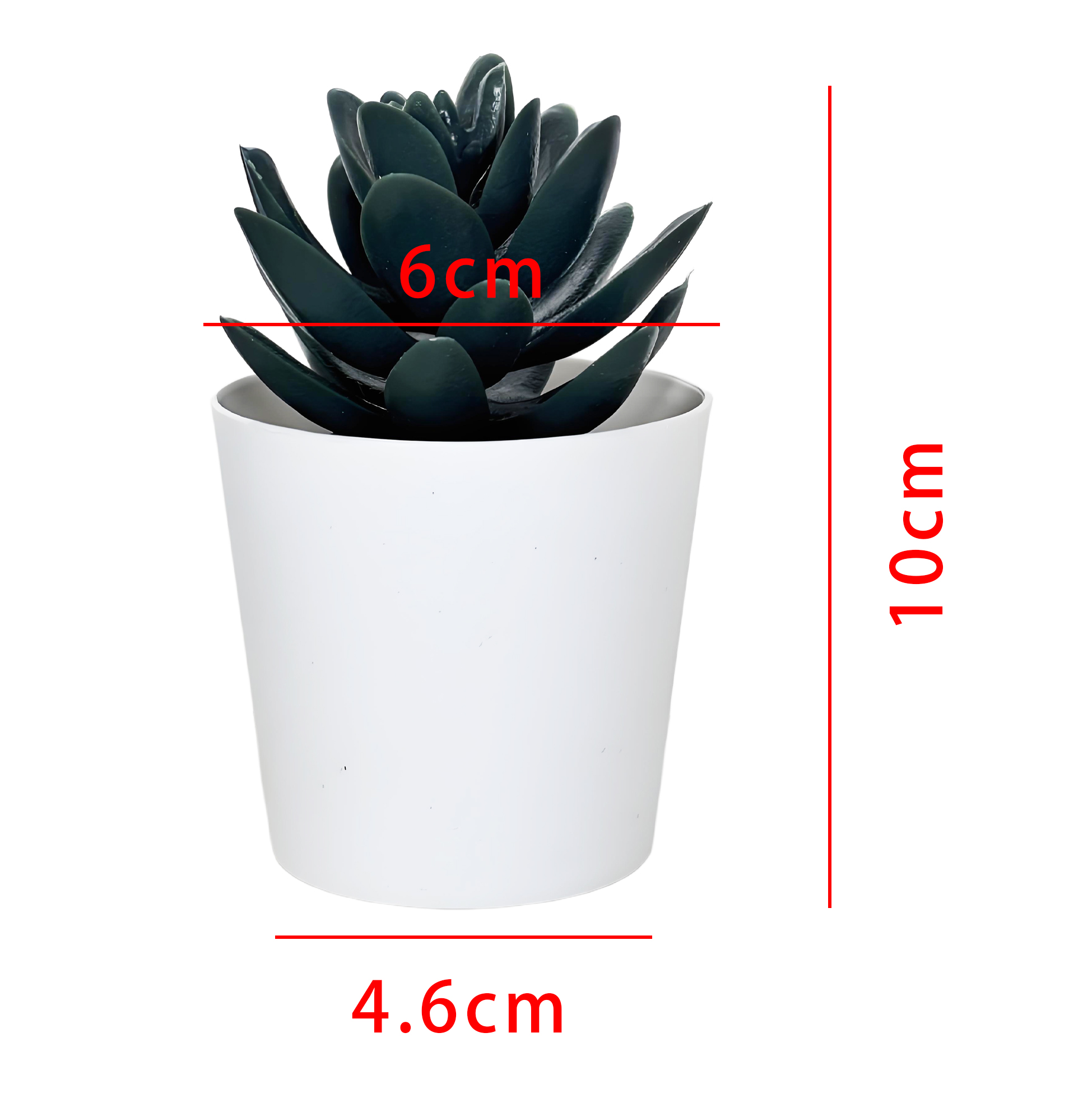 Black Succulent Fake Plant in White Pot