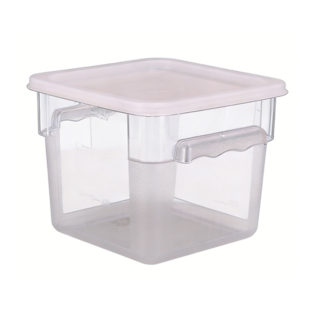 Clear Plastic Food Storage Container with Lid