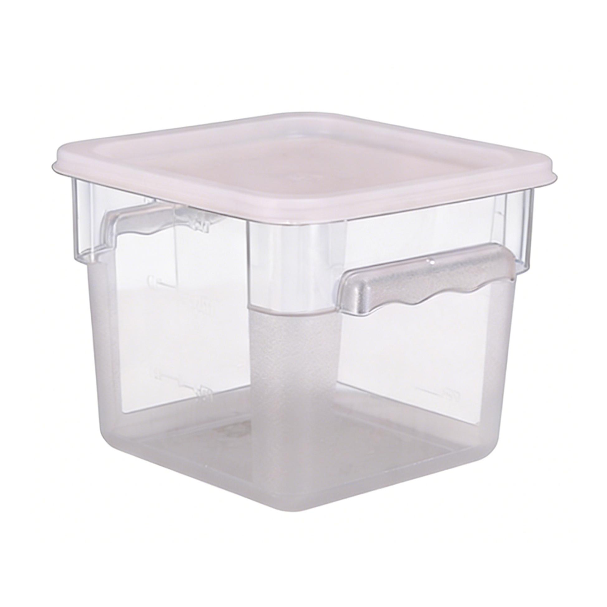 Clear Plastic Food Storage Container with Lid