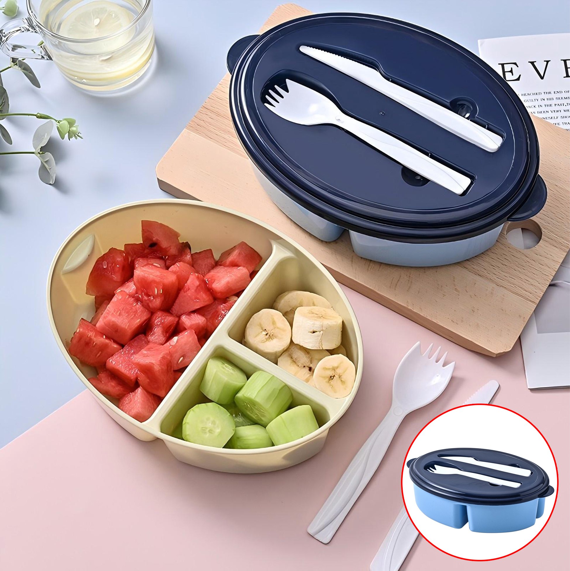 Plastic Bento Style Lunch Box