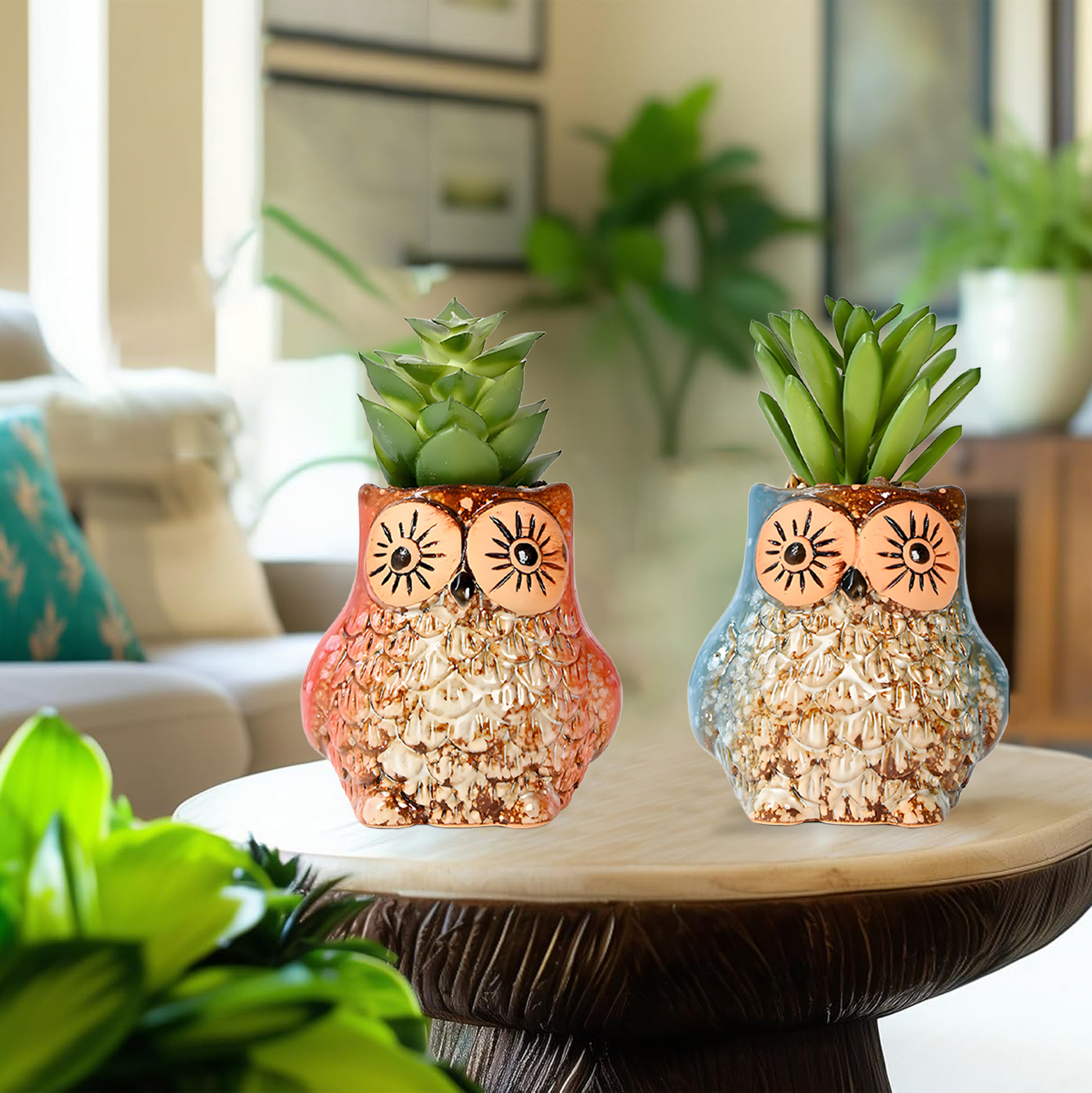 Set of 3 Owl Succulent Pot