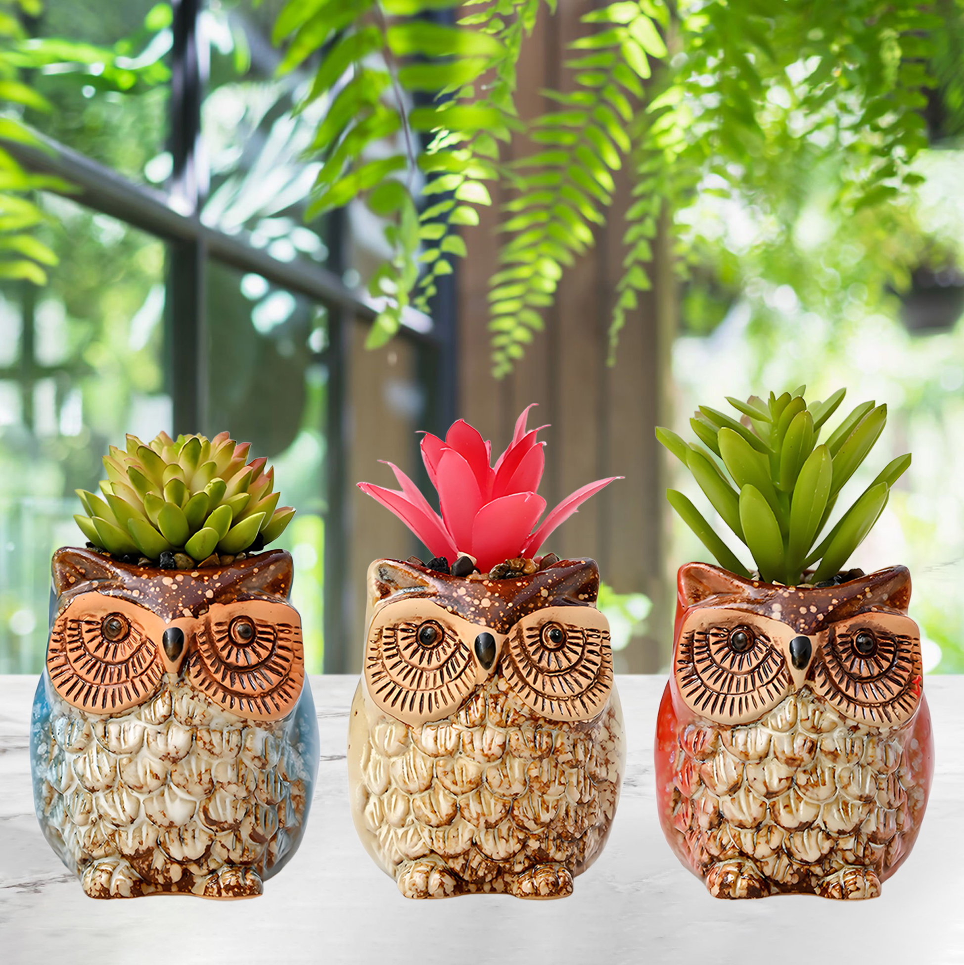 Set of 3 Owl Succulent Pot