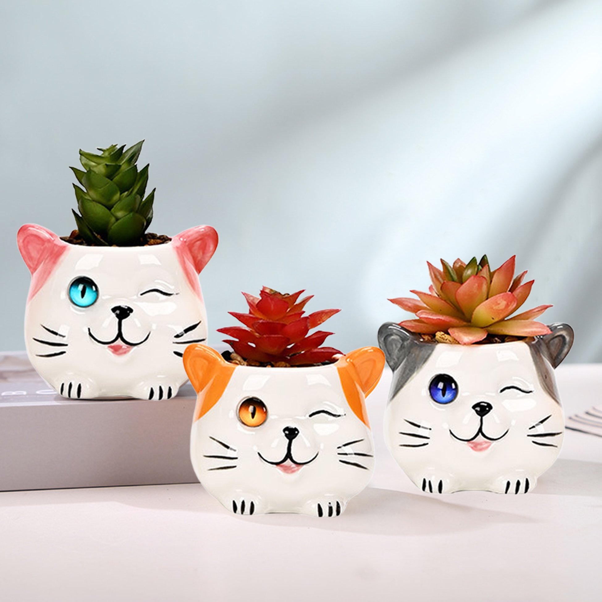Set of 3 Cat Succulent Pot