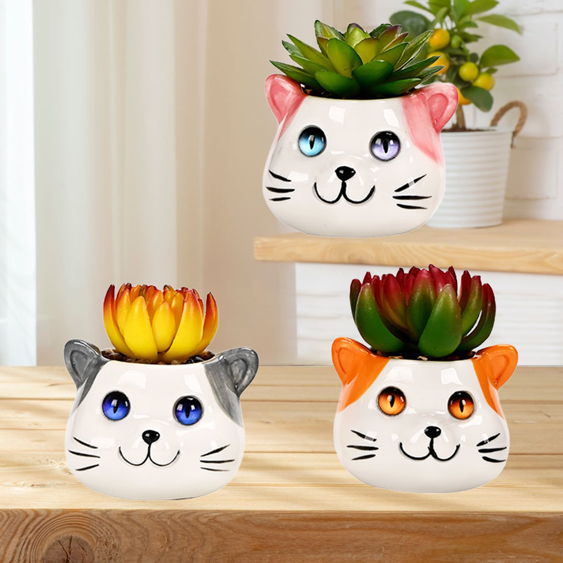 Set of 3 Cat Succulent Pot