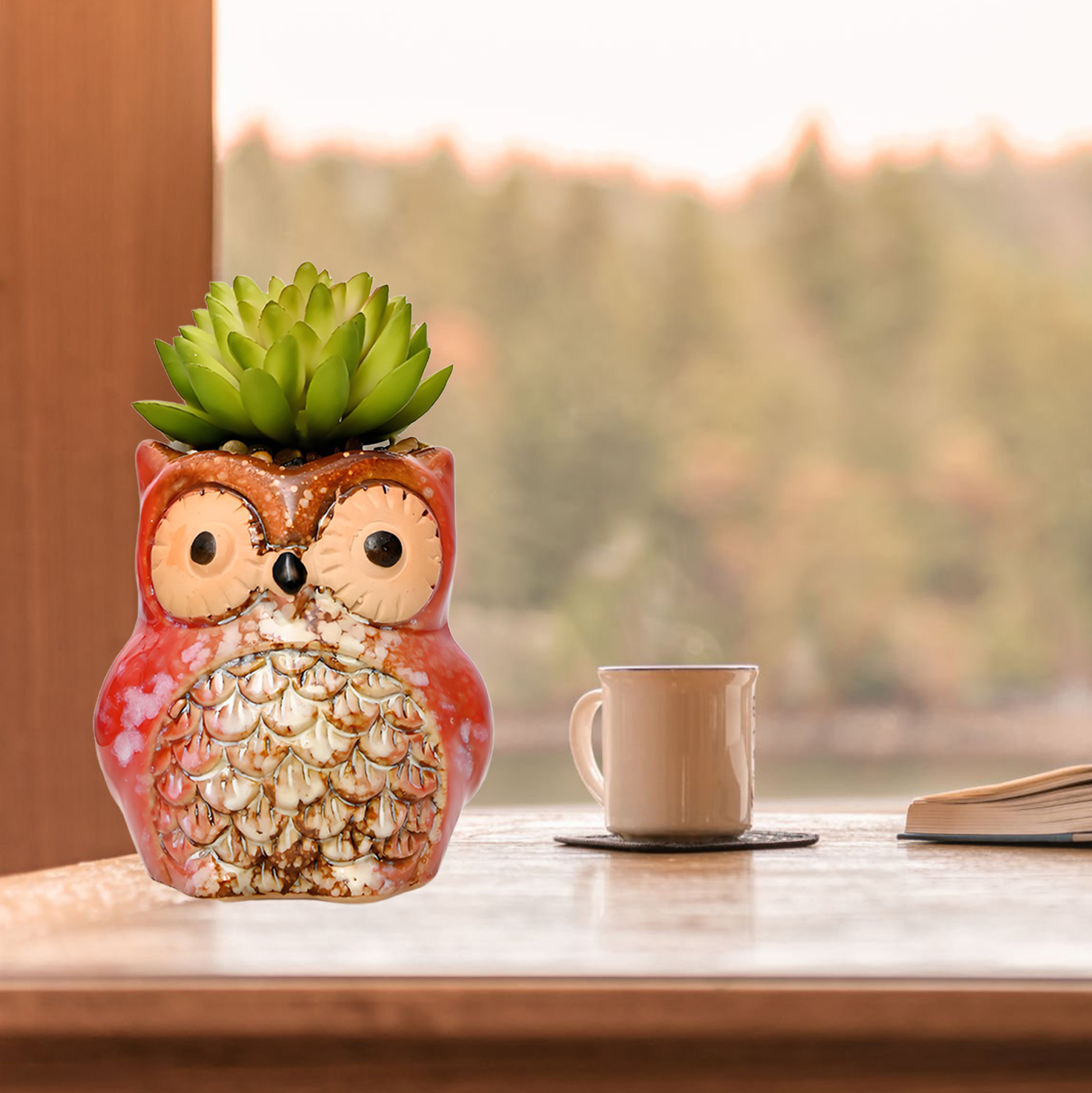 Set of 3 Owl Succulent Pot