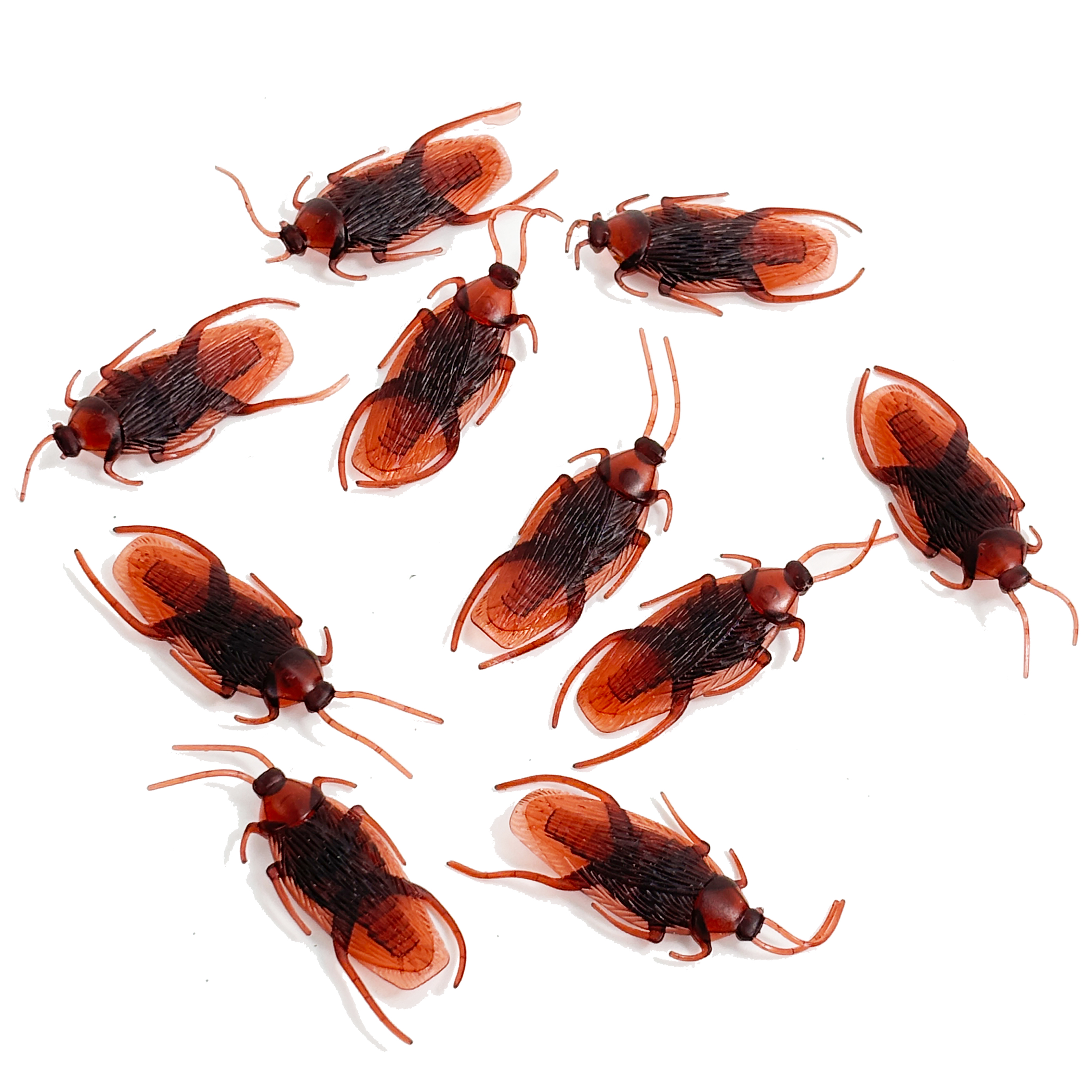 Halloween Prank Fake Roaches