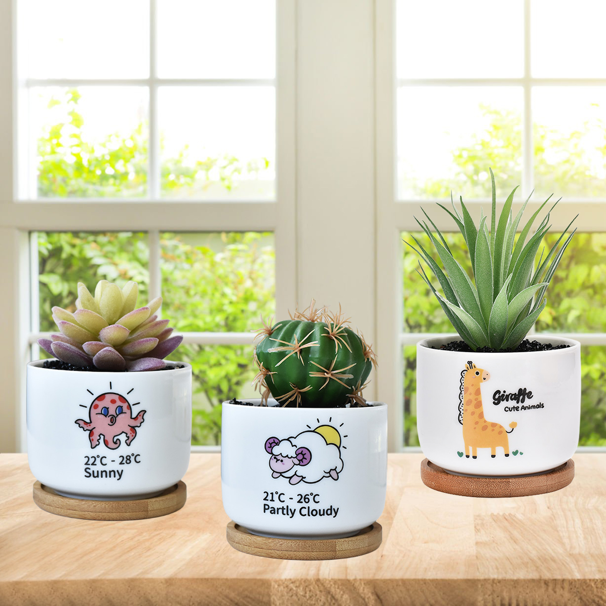3 Succulent Pots With 3 Bamboo Tray