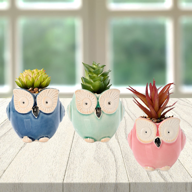 Set of 3 Owl Succulent Pot