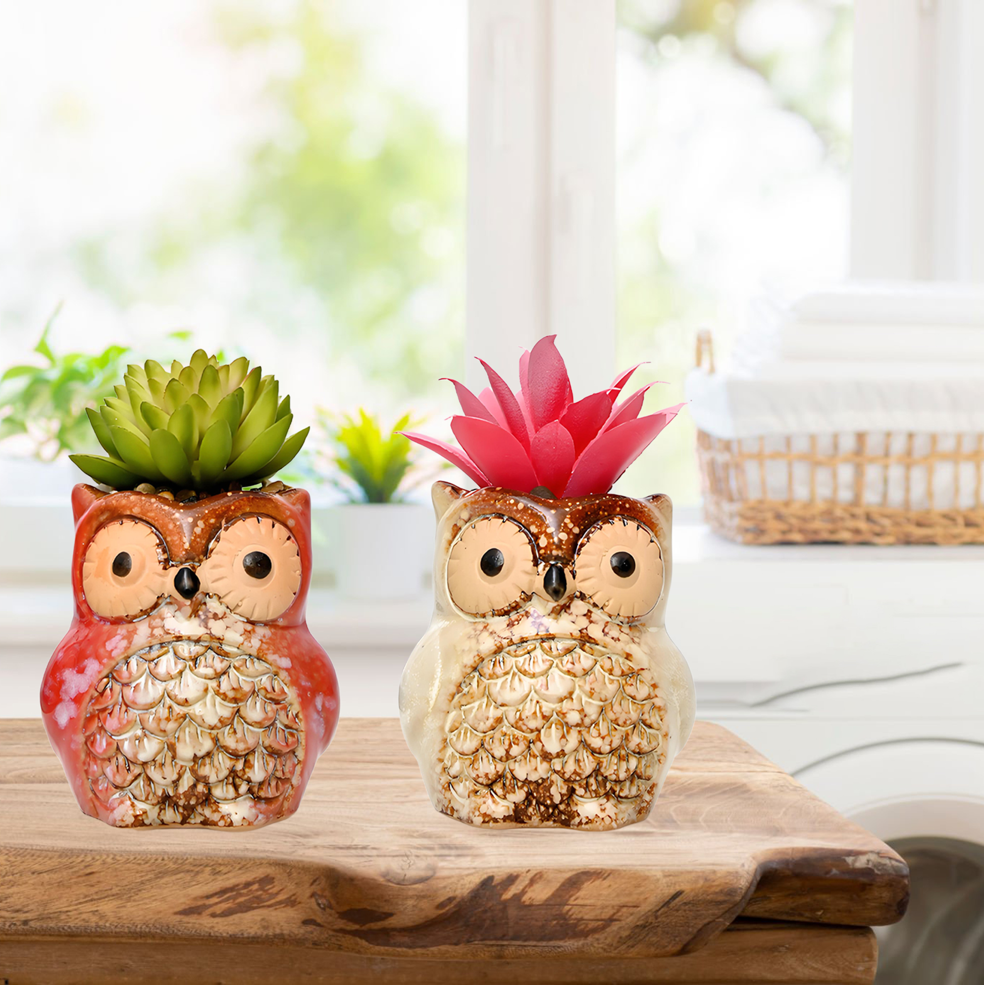 Set of 3 Owl Succulent Pot