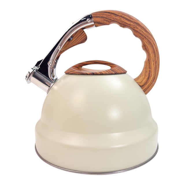 3.5L Stainless Steel Kettle