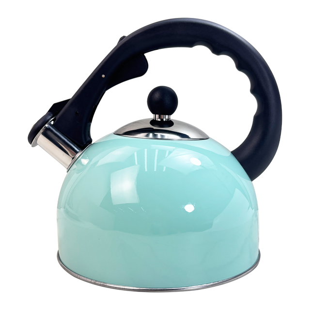 2.5L Turquoise Stainless Steel Kettle