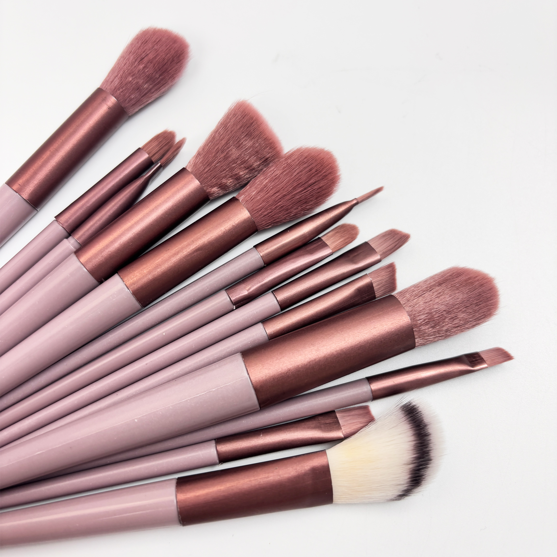 Set of 13 Makeup Brushes