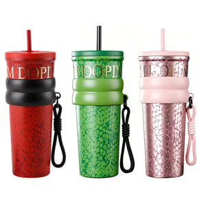 710ML Insulated Stainless Steel Tumbler with Straw & Leak-Proof Lid