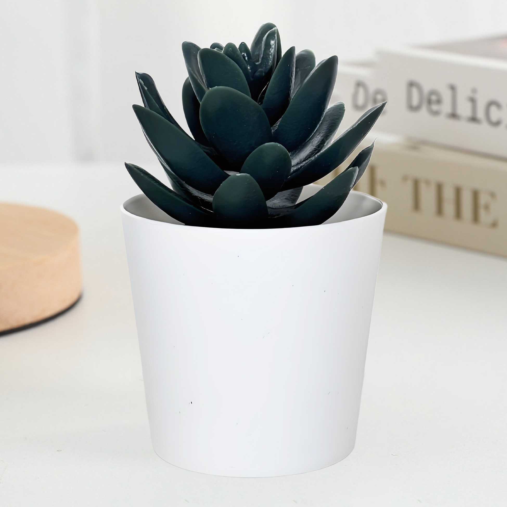 Black Succulent Fake Plant in White Pot