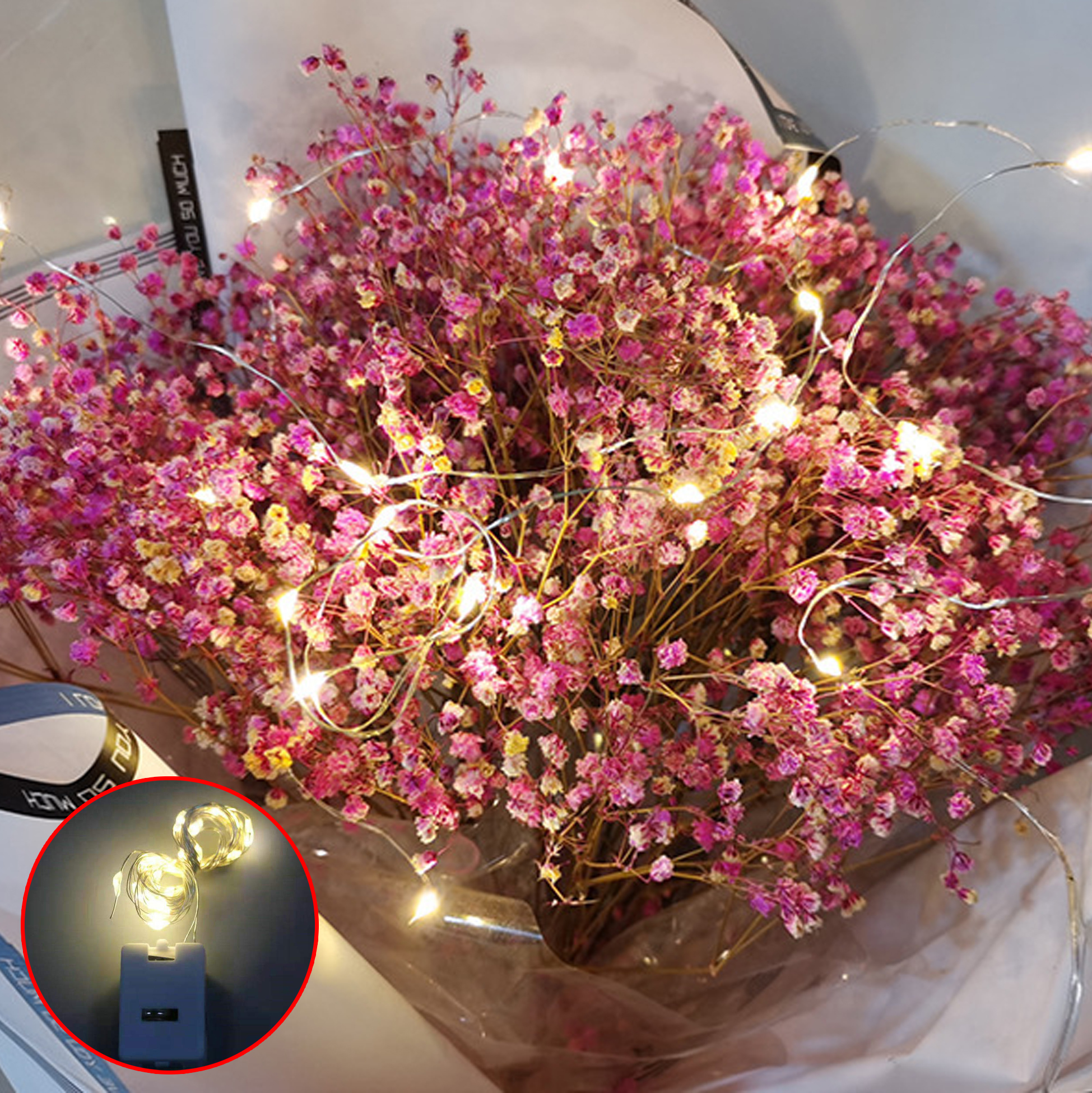 Fairy String Lights