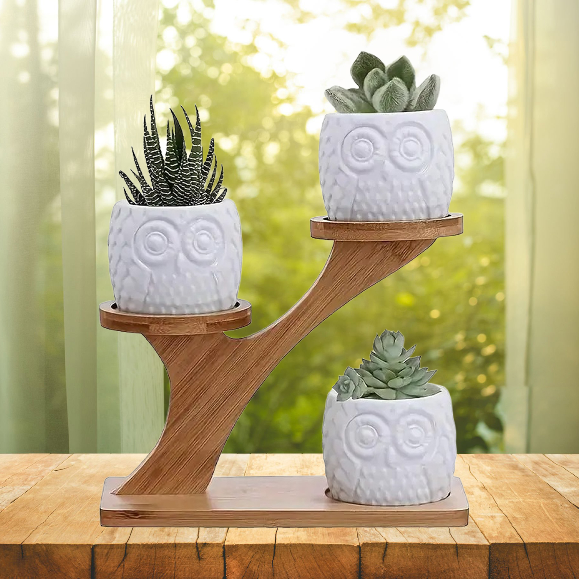 3 Owl Succulent Pots Set With Stand Holder