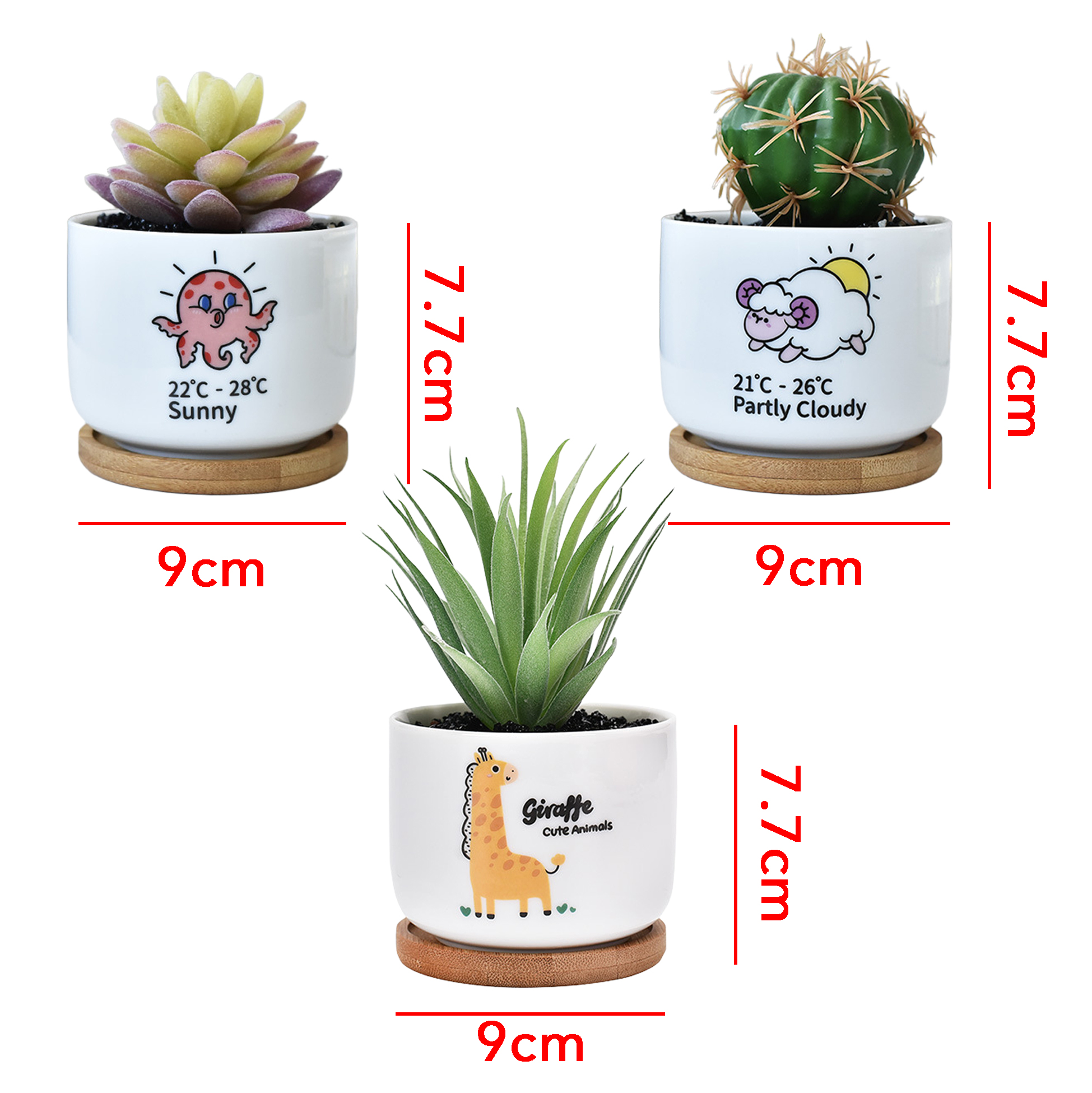 3 Succulent Pots With 3 Bamboo Tray