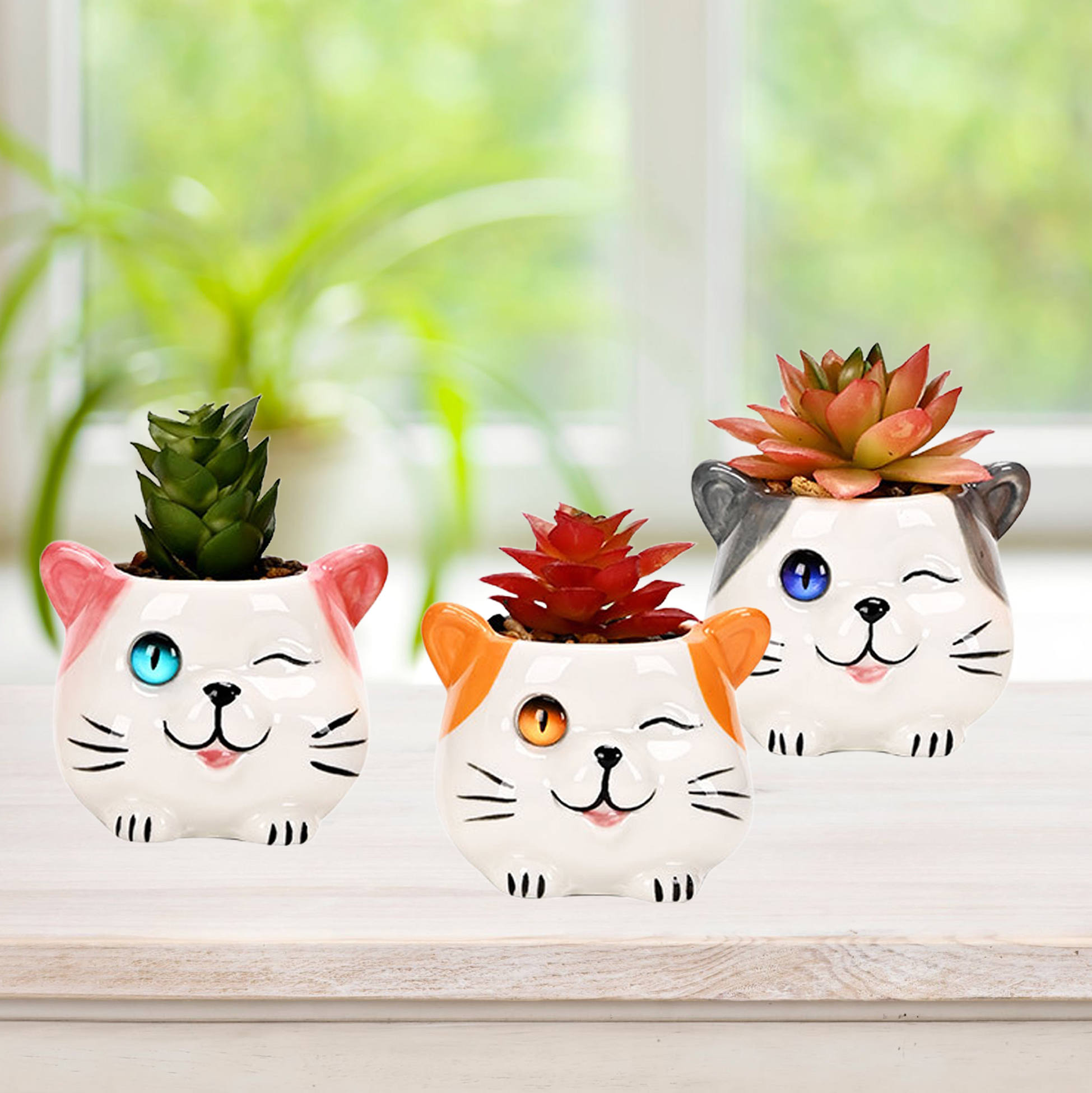 Set of 3 Cat Succulent Pot