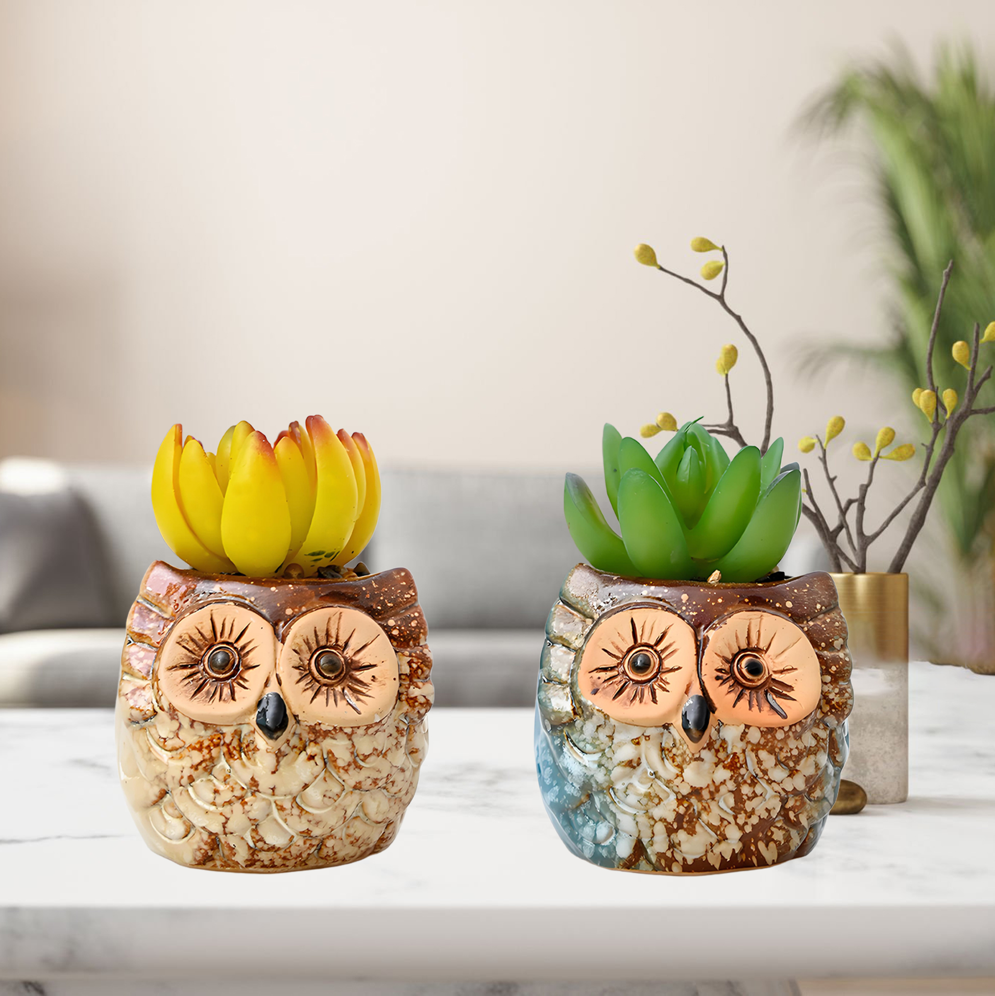 Set of 3 Owl Succulent Pot