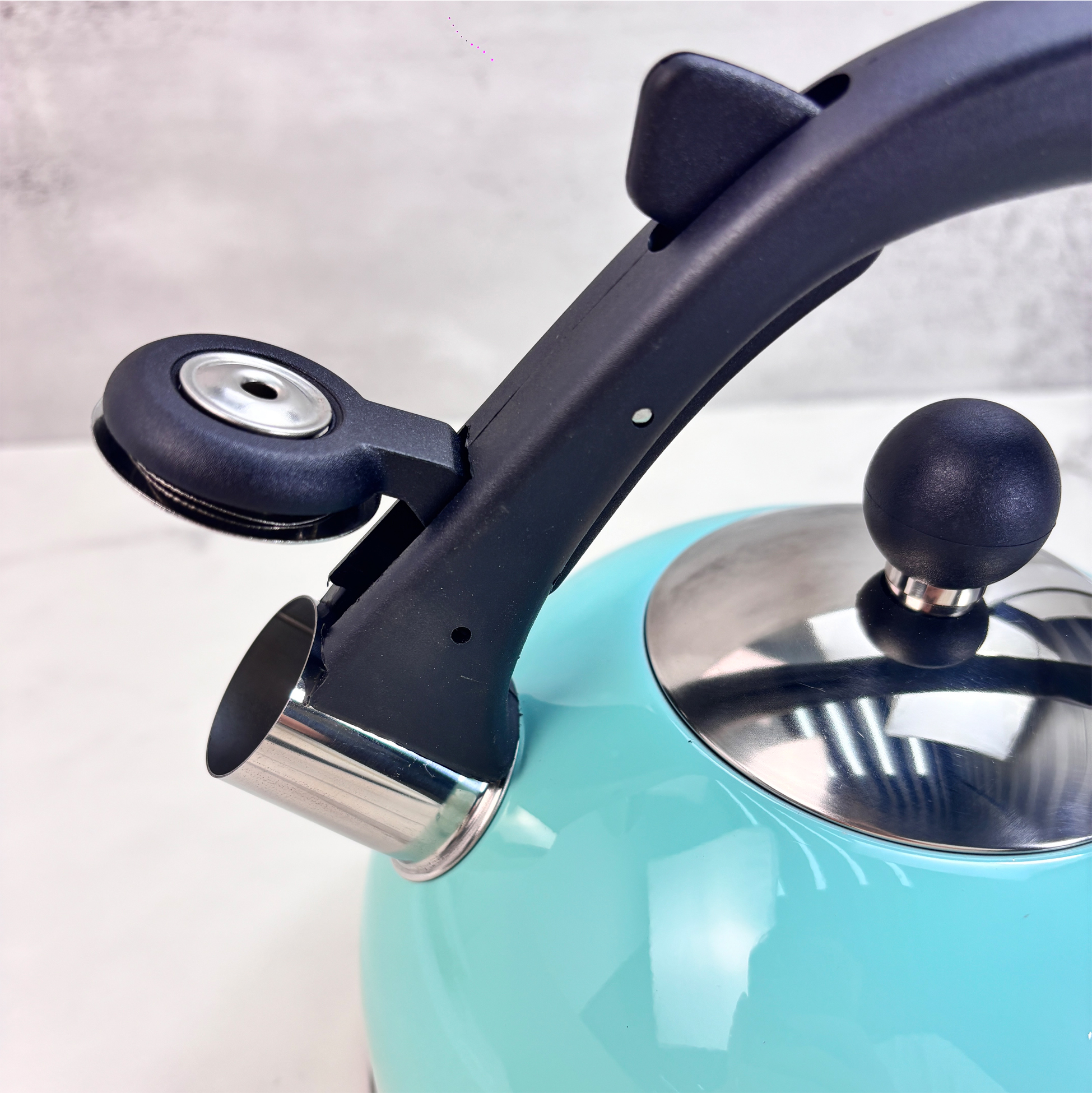 2.5L Turquoise Stainless Steel Kettle