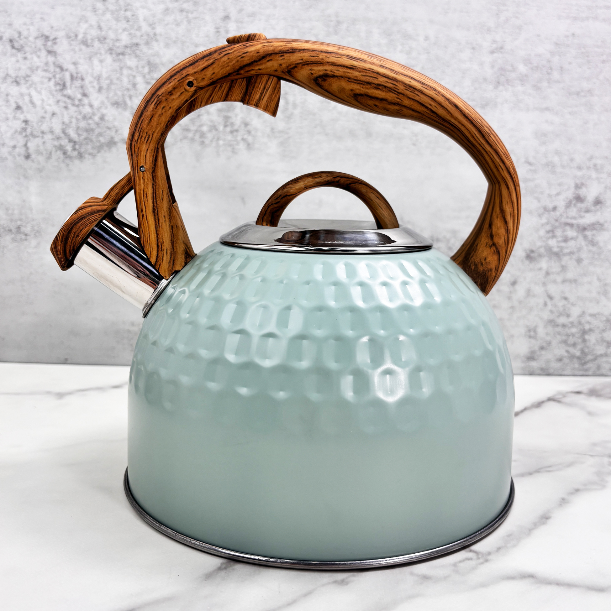 2.5L Mint Green Stainless Steel Kettle