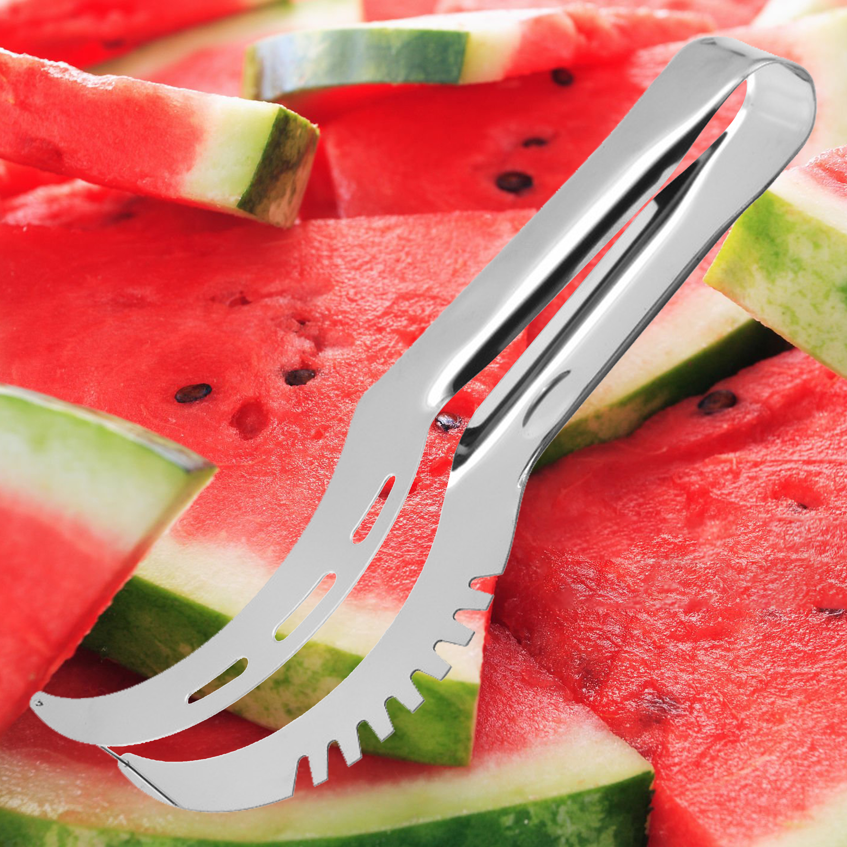 Stainless Steel Melon Slicer
