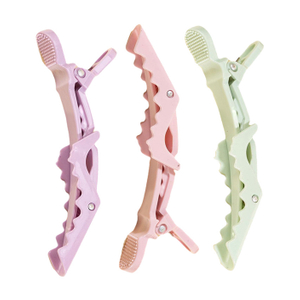 Chic Snap Hair Clip Duo Set