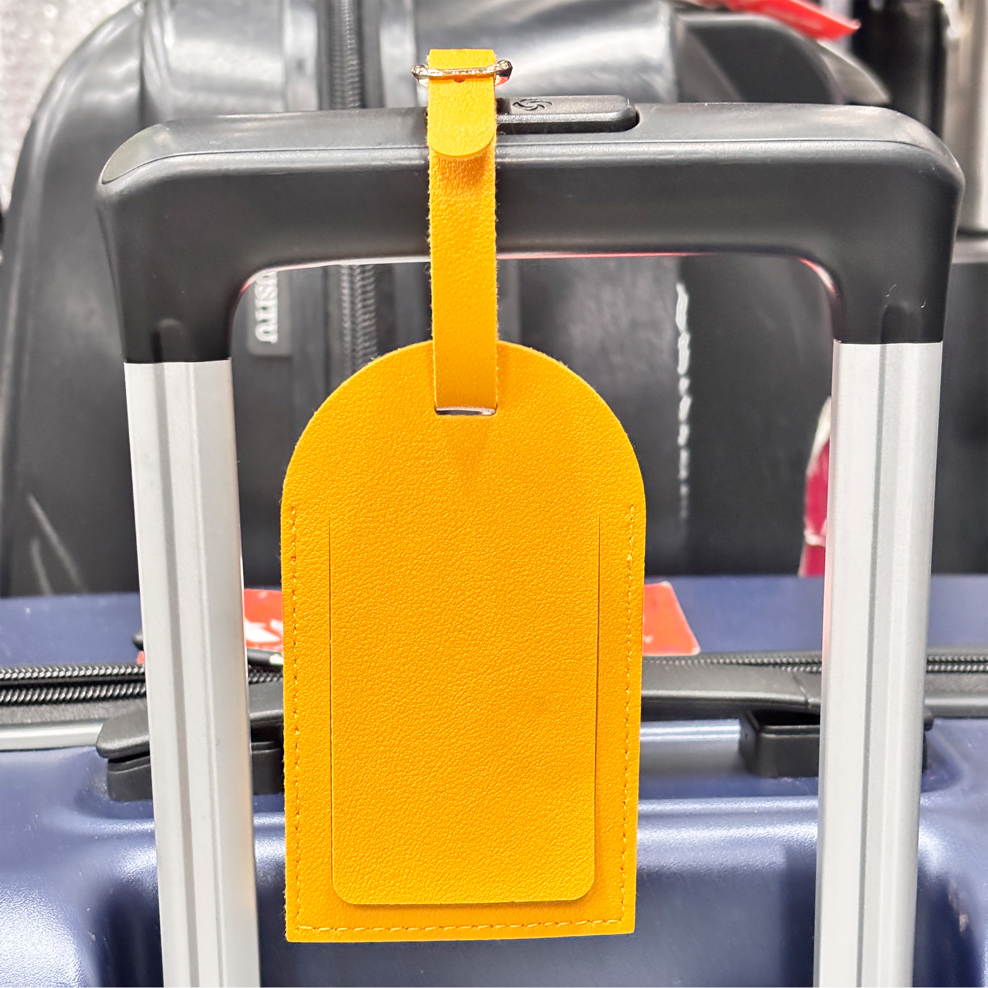 Colorful Leather Luggage Tag