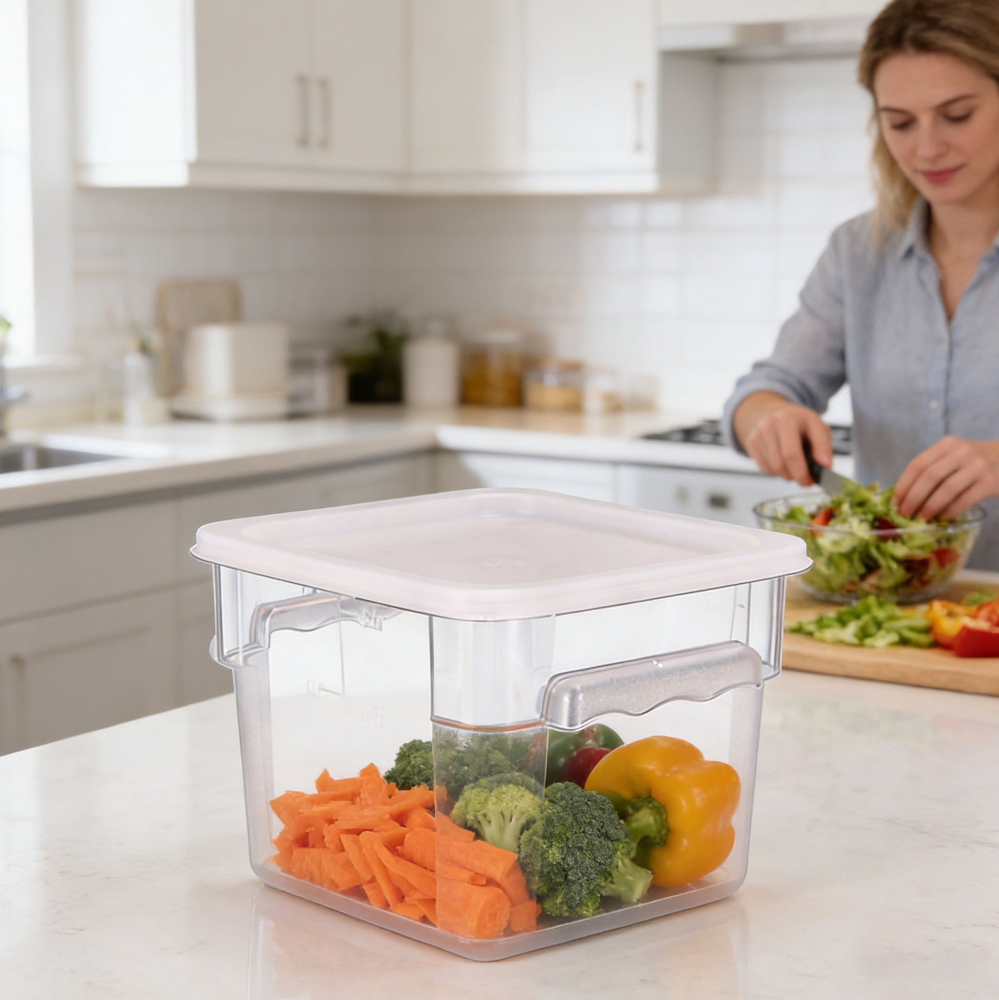 Clear Plastic Food Storage Container with Lid