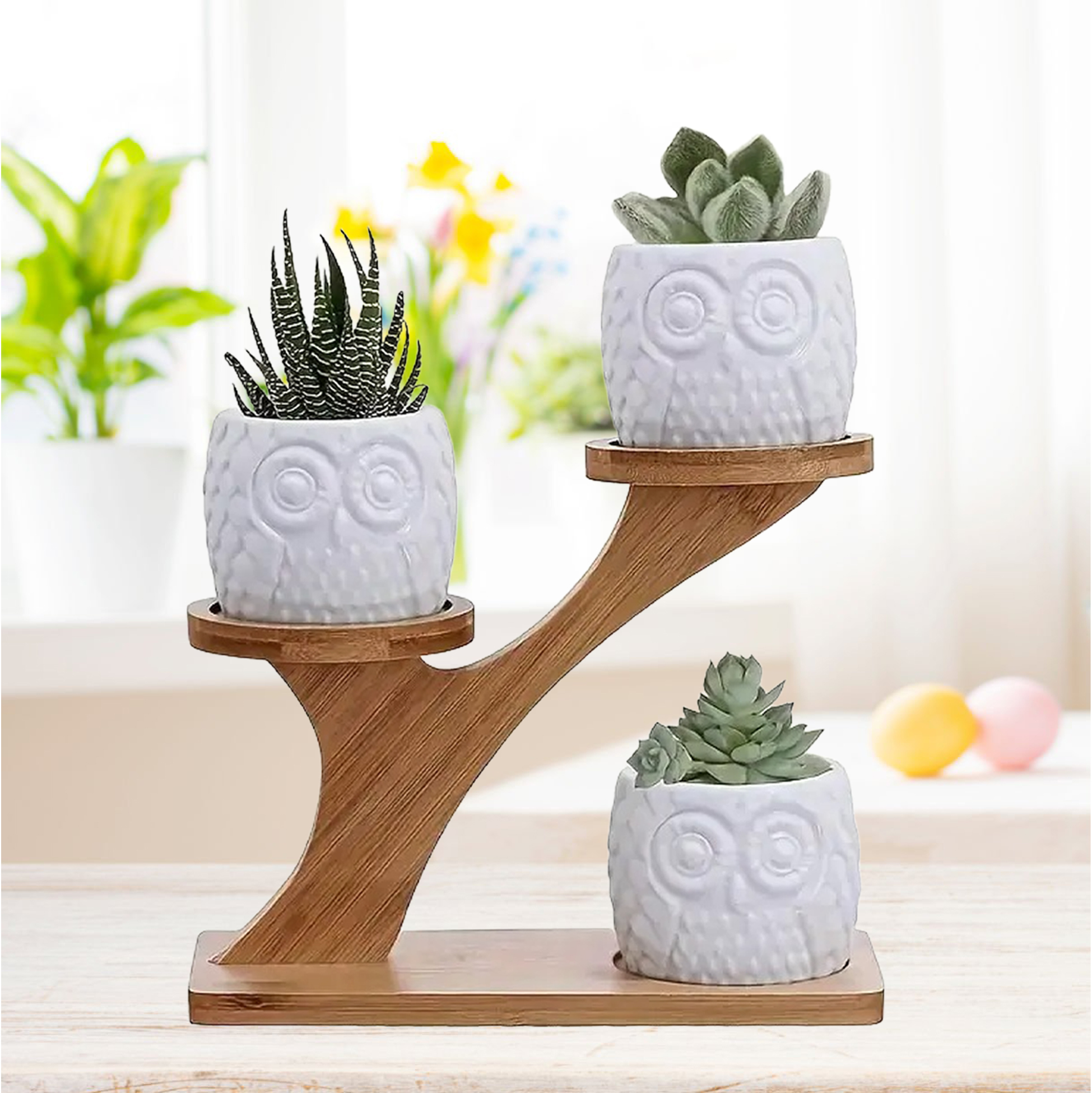 3 Owl Succulent Pots Set With Stand Holder