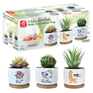 3 Succulent Pots With 3 Bamboo Tray